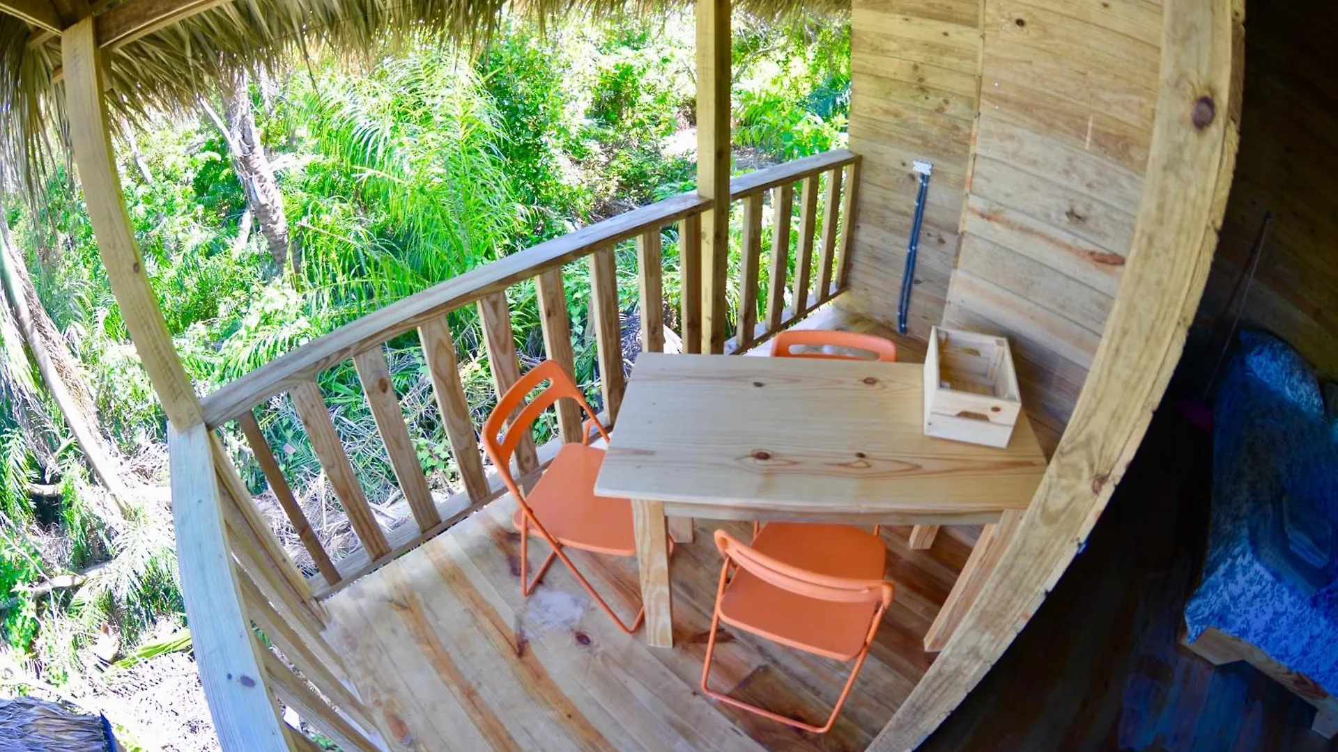 Apartment Mango House. Dreamy Studio Cabarete